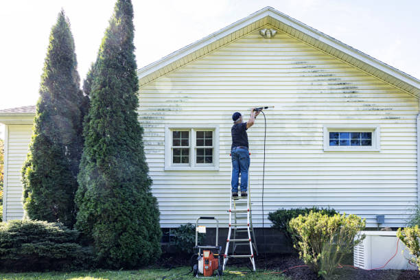 Best Soft Washing for Delicate Surfaces in Conway, FL